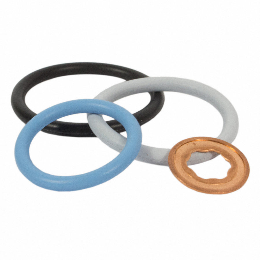 Motorcraft CM5055 fuel injector O-ring kit