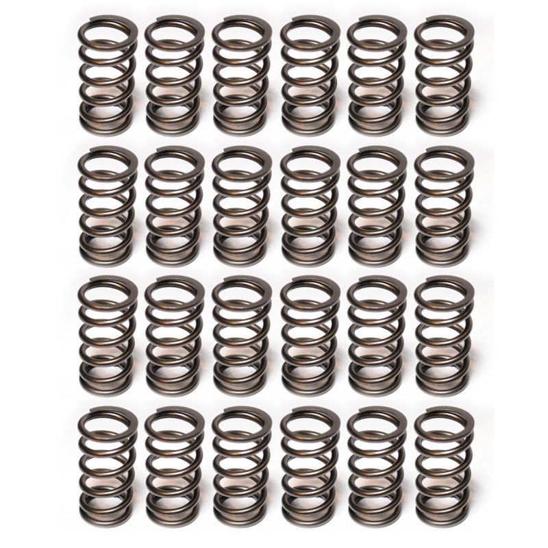 Hamilton Cams 07-S-003 Valve Springs